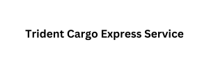 Trident Express Cargo Tracking Logo