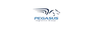 Pegasus Logistics Group Tracking Logo